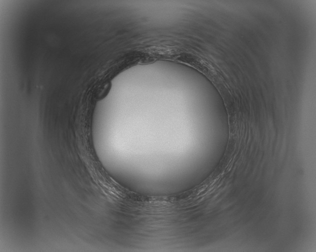X0000075411297200609080951