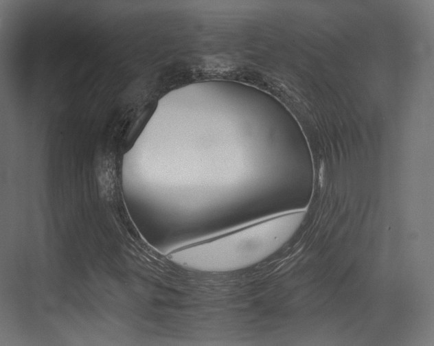 X0000075411299200609080951