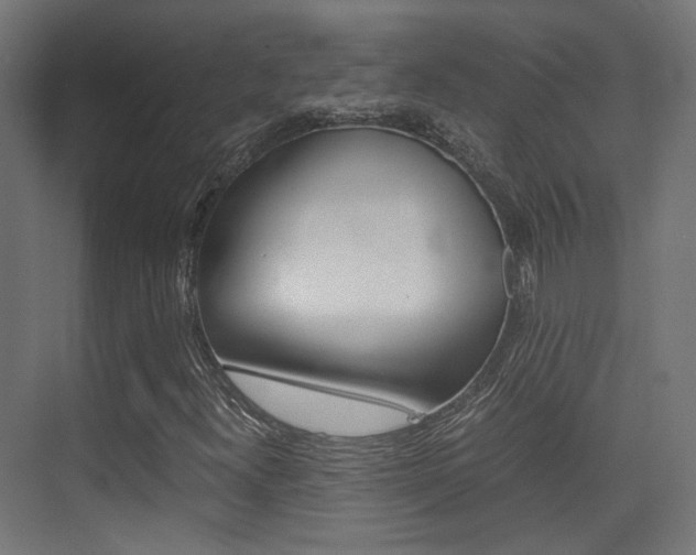 X0000075411300200609080951