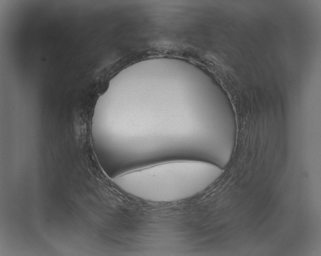 X0000075411302200609080951