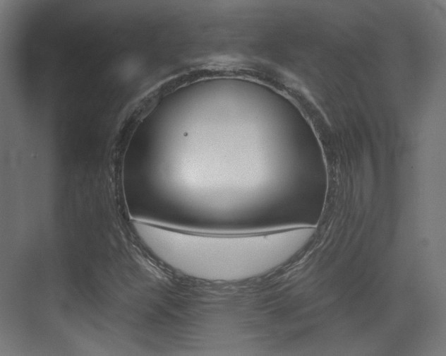 X0000075411304200609080951