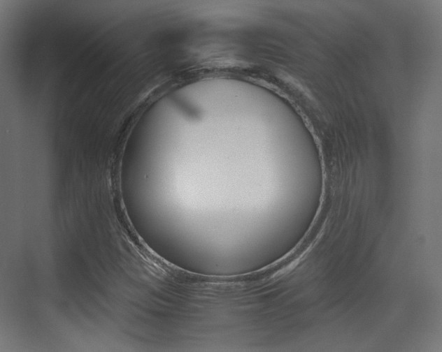 X0000075411305200609080951