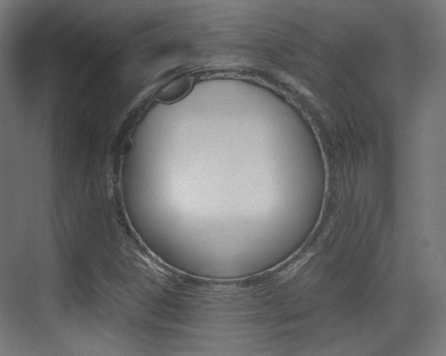 X0000075411306200609080951