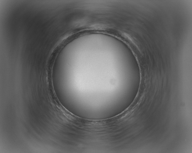 X0000075411307200609080951