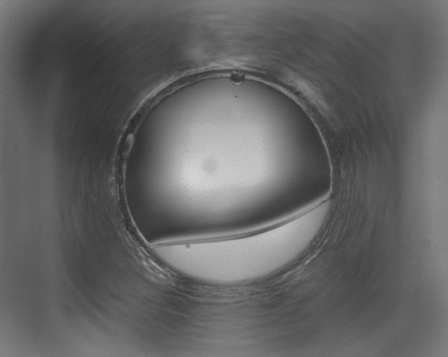 X0000075411308200609080951