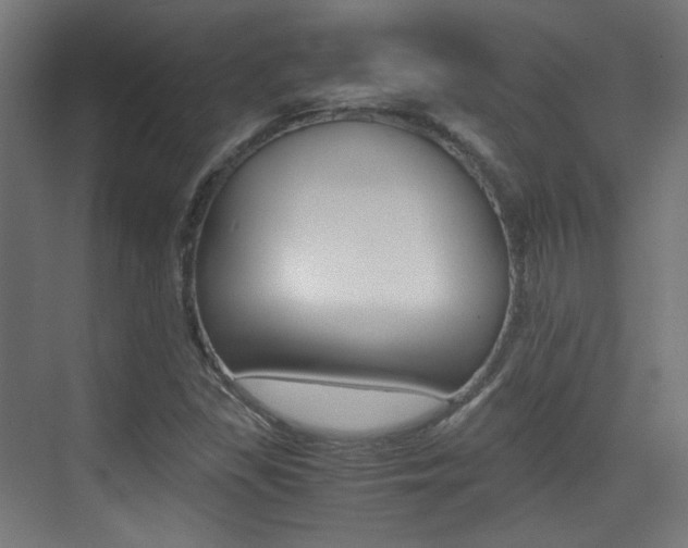 X0000075411309200609080951