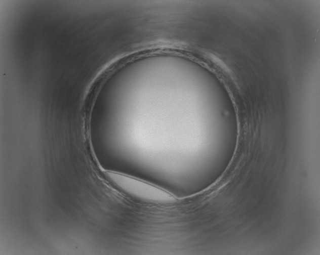 X0000075411310200609080951