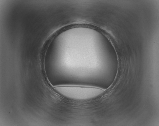 X0000075411311200609080951