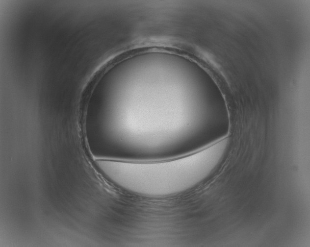 X0000075411312200609080951