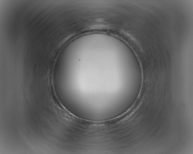 X0000075411313200609080951