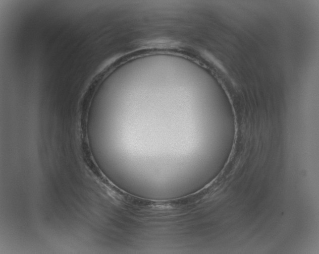 X0000075411315200609080951