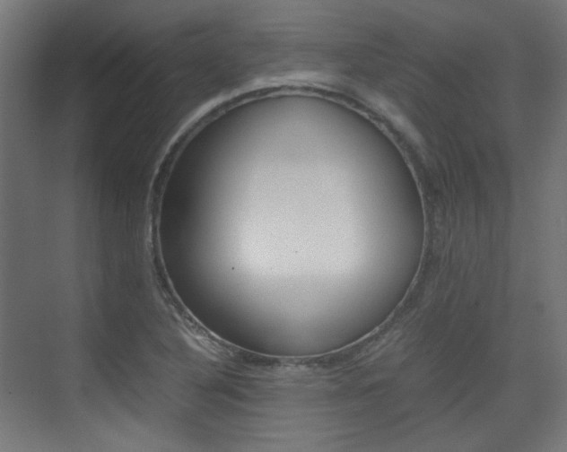 X0000075411316200609080951