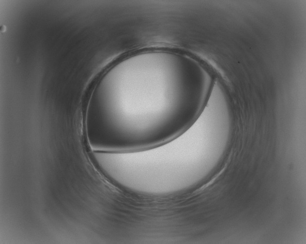 X0000075411317200609080951