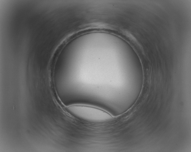 X0000075411318200609080951
