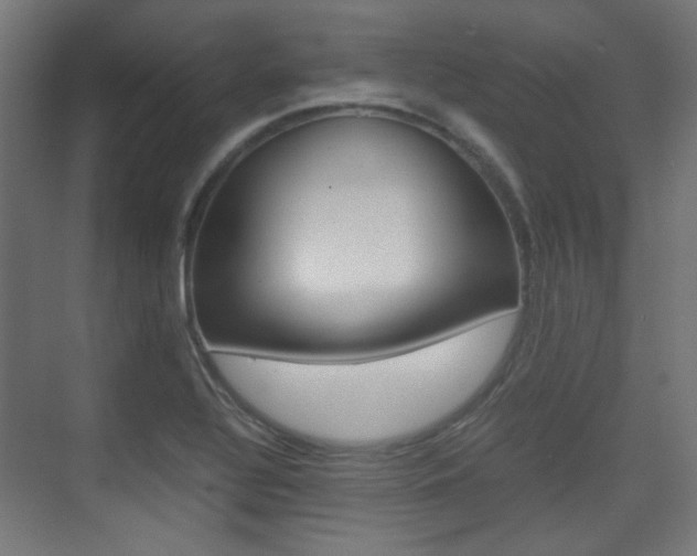 X0000075411320200609080951