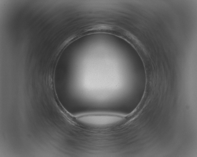 X0000075411321200609080951