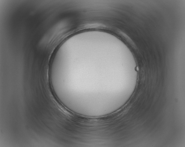 X0000075411322200609080951