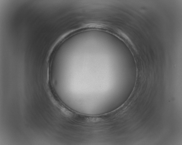 X0000075411323200609080951