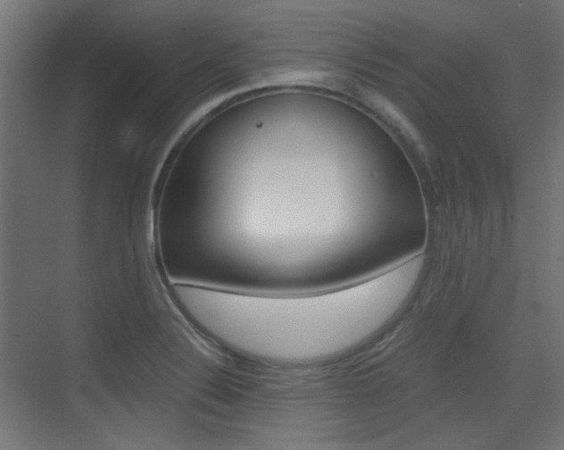 X0000075411324200609080951