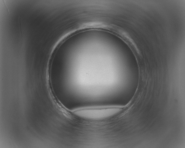 X0000075411328200609080951