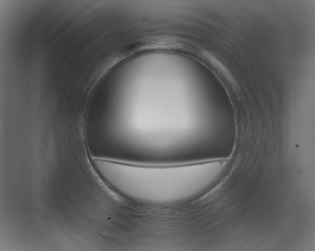 X0000075411329200609080951