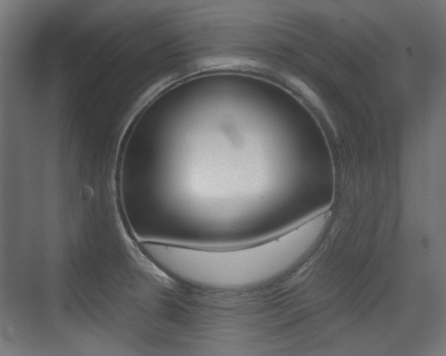 X0000075411330200609080951