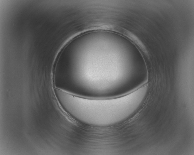 X0000075411332200609080952