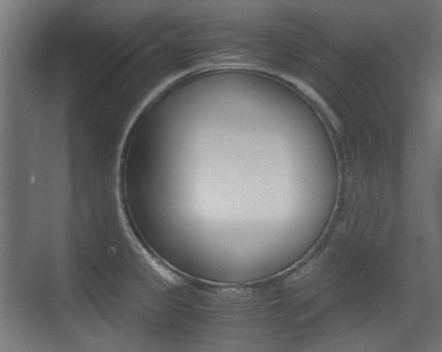 X0000075411333200609080952