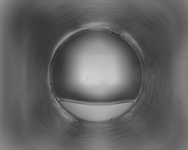 X0000075411336200609080952