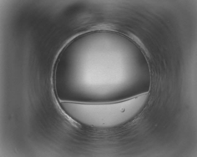 X0000075411339200609080952