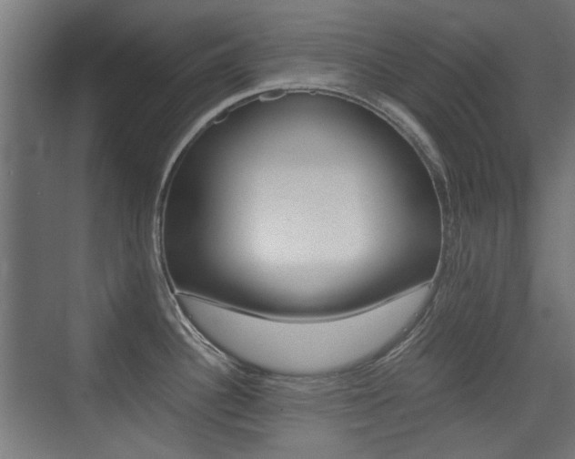 X0000075411340200609080952