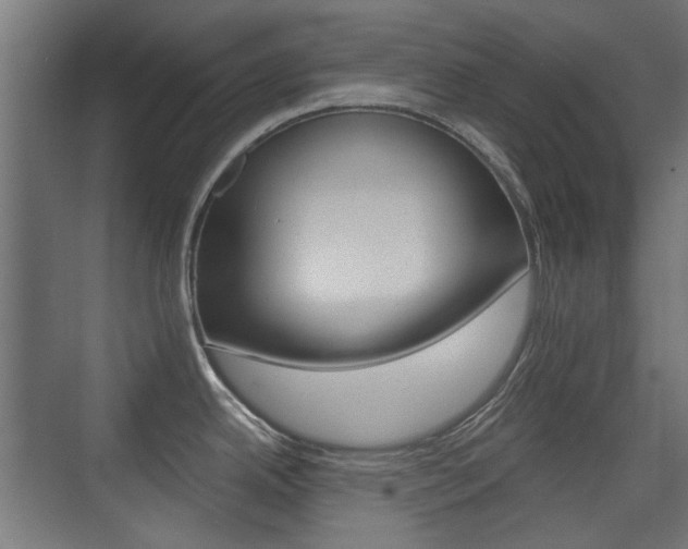 X0000075411342200609080952