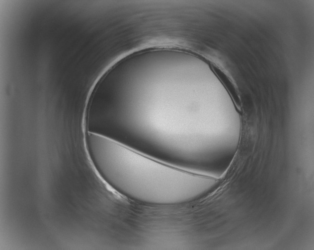 X0000075411343200609080952