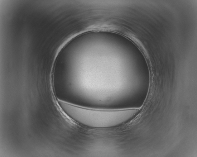X0000075411344200609080952