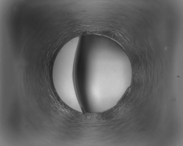 X0000075411345200609080951