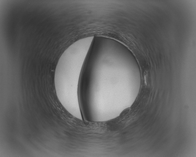 X0000075411347200609080951