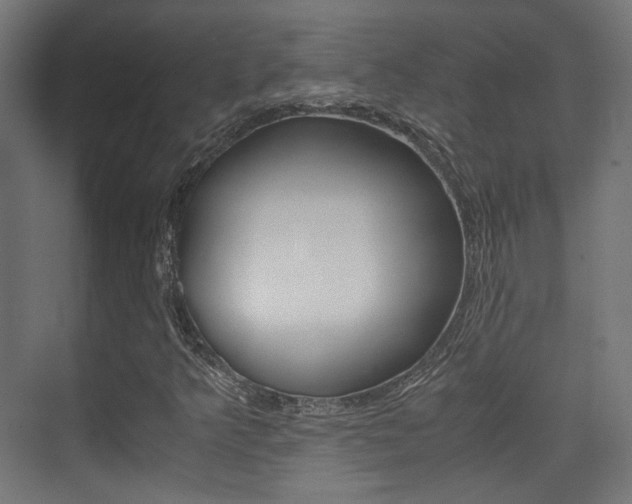X0000075411349200609080951