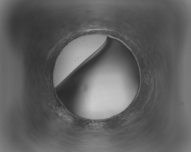 X0000075411351200609080951