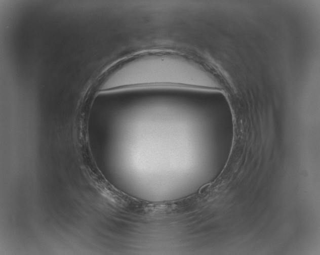 X0000075411352200609080951