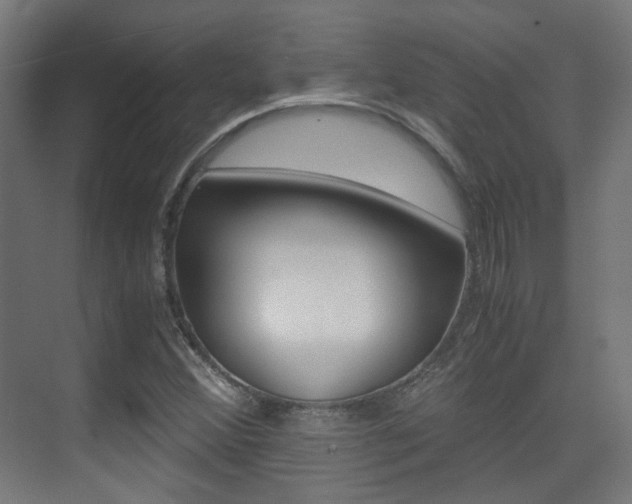 X0000075411356200609080951