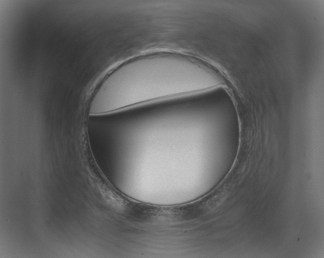 X0000075411359200609080951
