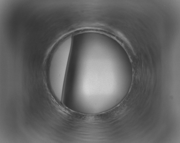 X0000075411360200609080951