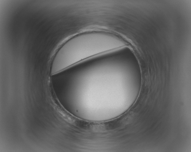 X0000075411363200609080951