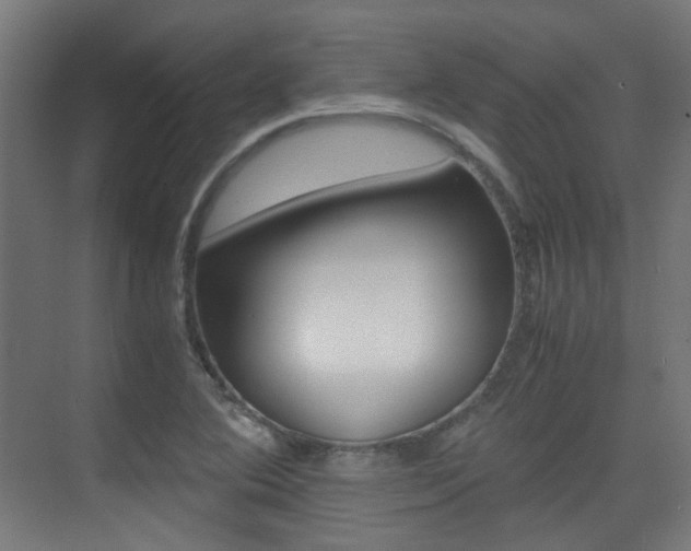 X0000075411364200609080951