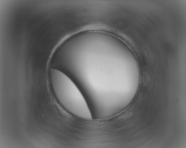 X0000075411366200609080951