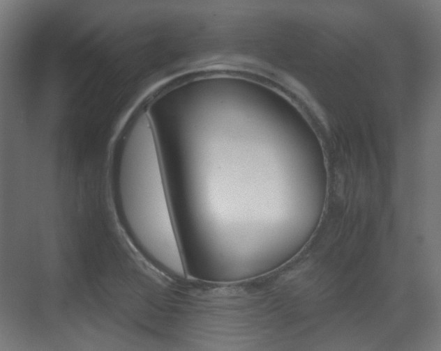 X0000075411368200609080951