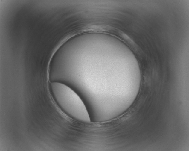 X0000075411370200609080950