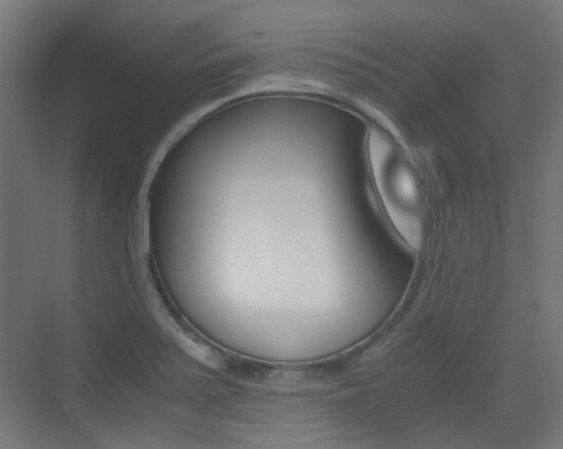 X0000075411371200609080950