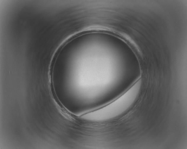 X0000075411372200609080950