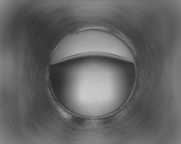 X0000075411377200609080950